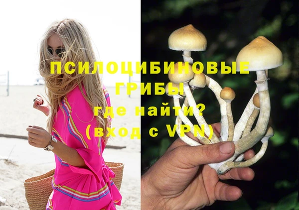а пвп мука Пестово